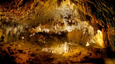 Guided tour of the Cave of Urdax